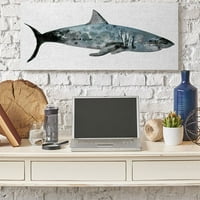Stupell Industries akvarell texturált cápa minimális Tengeri Élet Design vászon fal Art Design Stellar Design Studio,