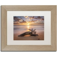 Védjegy Képzőművészet 'Beach Tree Sunrise' vászon művészete: Pierre Leclerc, White Matte, Birch Frame