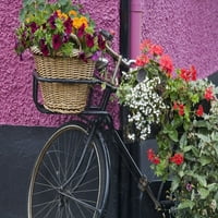 Kerékpár virágokkal, Carrick falu; Donegal megye, Írország Poszter Nyomtatás Richard Cummins 1853108