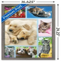 Keith Kimberlin-kiskutyák és cicák kollázs fali poszter, 14.725 22.375