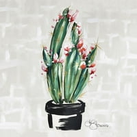 Virágzó kaktusz Poszter Nyomtatás Hollihocks Art Hollihocks Art